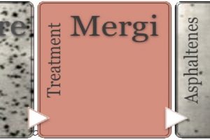 RENERGI.PRINCIPAL.1